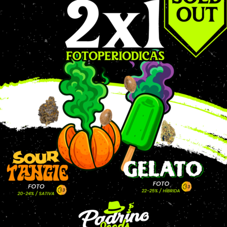 Semillas en Padrino Seeds